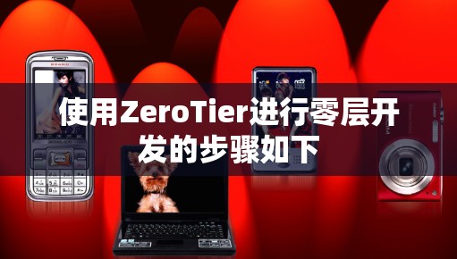 使用ZeroTier进行零层开发的步骤如下