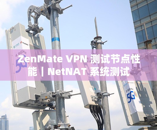 ZenMate VPN 测试节点性能｜NetNAT 系统测试