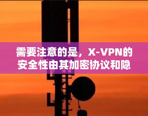 需要注意的是，X-VPN的安全性由其加密协议和隐私设置保障，下载过程中需谨慎，确保使用安全环境。建议根据个人需求选择合适的版本和配置，确保数据安全和稳定使用