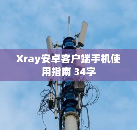 Xray安卓客户端手机使用指南 34字