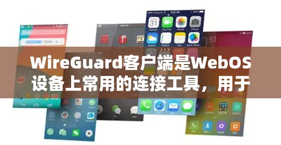 WireGuard客户端是WebOS设备上常用的连接工具,用于管理与设备之间的网络连接。以下是详细的连接管理流程 WireGuard客户端是WebOS设备上常用的连接工具,用于管理与设备之间的网络连接。以下是详细的连接管理流程