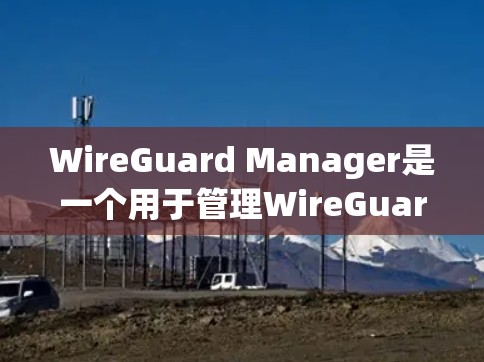 WireGuard Manager是一个用于管理WireGuard设备的工具，它支持设备扫描、监控、配置、连接和管理等功能。以下是对这个工具的详细说明