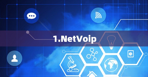 1.NetVoip