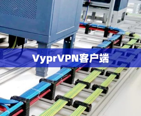 VyprVPN客户端 VyprVPN客户端