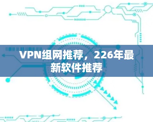 VPN组网推荐，226年最新软件推荐