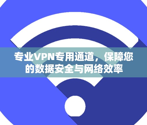 专业VPN专用通道，保障您的数据安全与网络效率