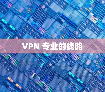 VPN 专业的线路