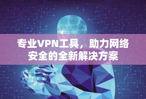 专业VPN工具，助力网络安全的全新解决方案