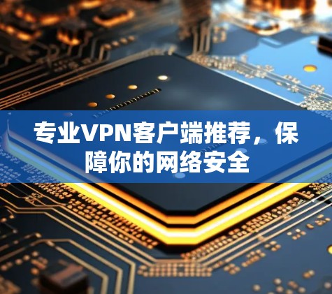 专业VPN客户端推荐，保障你的网络安全