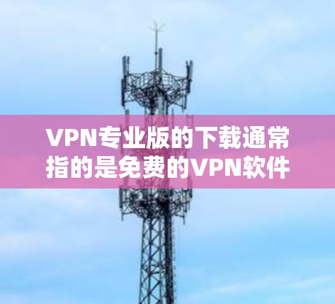 VPN专业版的下载通常指的是免费的VPN软件，因为付费的VPN软件可能需要更多的配置和高级功能，而用户可能不太清楚付费软件有什么优势。以下是几个常见的VPN软件推荐，供您参考