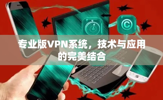 专业版VPN系统，技术与应用的完美结合