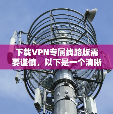 下载VPN专属线路版需要谨慎，以下是一个清晰的步骤指南