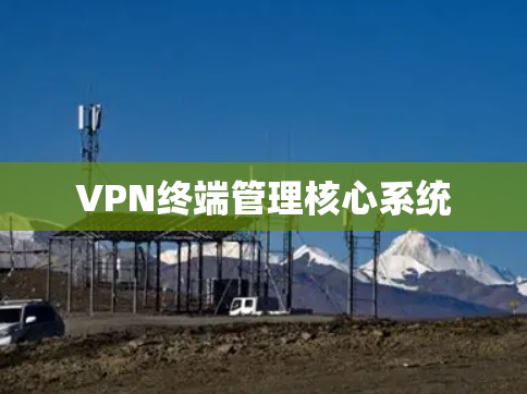VPN终端管理核心系统 VPN终端管理核心系统