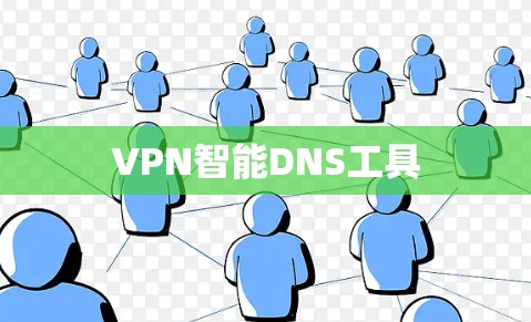 VPN智能DNS工具