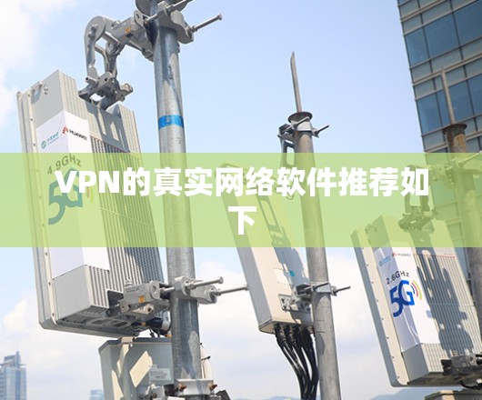 VPN的真实网络软件推荐如下