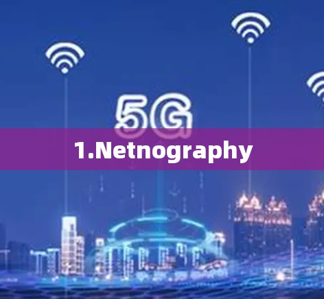 1.Netnography